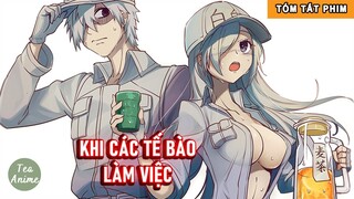 Tóm Tắt Anime Hay: Khi Các Tế Bào Làm Việc Phần 2 | Review Anime Cells At Work