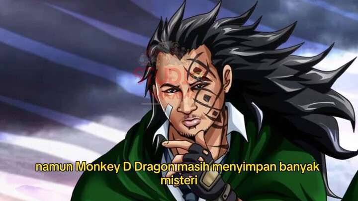 inilah latar belakang komandan tertinggi pasukan revolusi Monkey D  Dragon