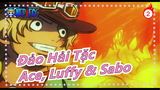 [Đảo Hải Tặc] 2020 rồi, ba anh em Ace, Luffy và Sabo vẫn đang tấn công mình_2