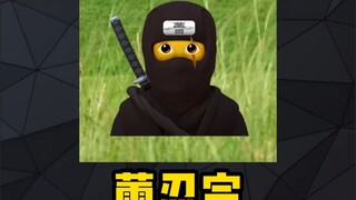 忍术是什么梗？lex本人如何看待忍术梗？