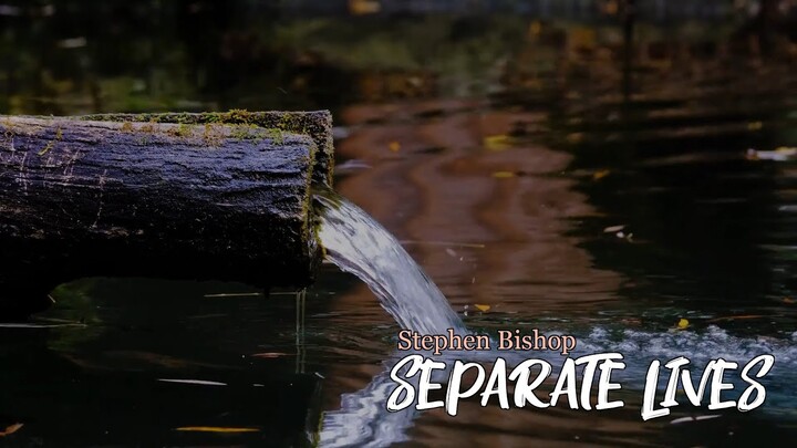 Stephen Bishop - Separate Lives (Lyrics)