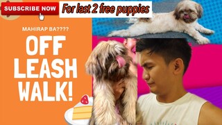 OFF LEASH WALK | SUPER MARCOS VLOGS