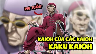 "Võ Sư Mạnh Nhất Trung Hoa" Kaku Kaioh (Baki Series) - Tiêu Điểm Nhân Vật