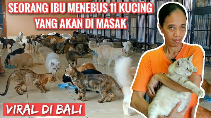 KISAH VIRAL - SEORANG IBU MENEBUS 11 KUCING YANG AKAN DI MASAK (PART 2/2)