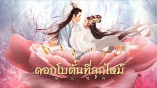 ดอกโบตั๋นที่ลุกไหม้(Full)