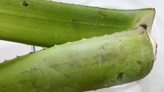 How To Make Slime With Aloe Vera