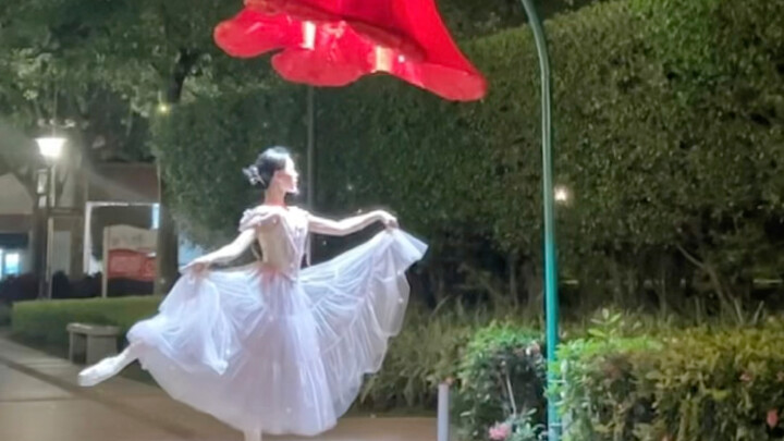 Công chúa múa ba lê ở công viên vịnh Hạ Môn, tôi dưới ánh đèn lồng vào sáng sớm