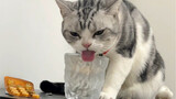 不要喝我的水…
