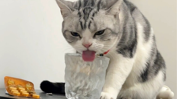 Don’t drink my water…
