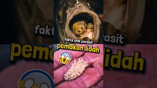 NGERI PARASIT PEMAKAN LIDAH IKAN, CYMOTHOA EXIGUA 😱🧐 #shorts