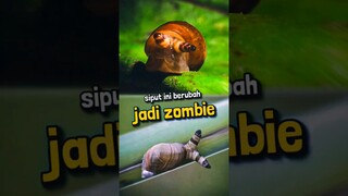 Mengerikan Siput Terinfeksi Parasit dan Menjadi Zombie 😱‼️#shorts