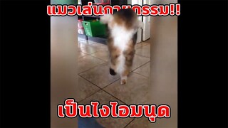 BestVines ฉบับสัตว์โลก EP.12 [พากย์นรก]