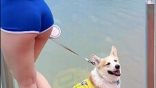 cocomelon compilation part 36