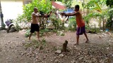 sparring cobra hatch vs pure RRZN kanawayon