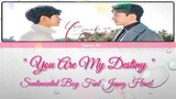 "You Are My Destiny" Sentimental Boy ft Jeong Haeil (You Make Me Dance OST HAN/ROM/ENG)