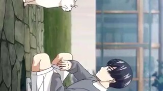 keppeki dansi Aoyama kun