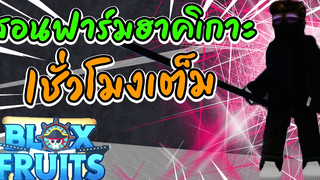 Blox Fruits สอนฟาร์มฮาคิเกราะและฮาคิสังเกต แบบไวติดจรวจ 1ชั่วโมงเต็ม