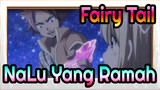Fairy Tail| Koleksi Adegan NaLu Yang Ramah