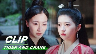 Qi Yanran Lets YiMei Go | Tiger and Crane EP18 | 虎鹤妖师录 | iQIYI