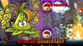 ข้าวเหนียวนี่แหละดีที่สุด Plants vs Zombies 2