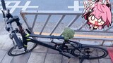 The bicycle seat was stolen and a broccoli was placed on it