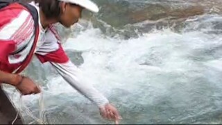 cast net fishing in Nepal | cast netting in Nepal | asala fishing | himalayan trout |