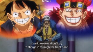 LAW REFERS KID&LUFFY AS IDIOTS BUT ALSO PLANNING TO PUT THEM AS DECOYS