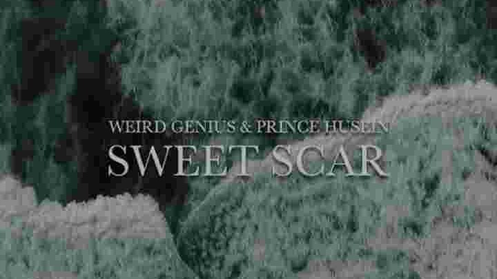 Weird genius - Sweet scar