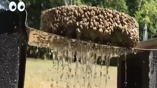 Mặt đường biết uống nước p2
