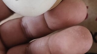 seed fowl