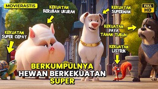 KETIKA PARA HEWAN PELIHARAAN MENJADI SUPERHERO || Alur Cerita Film DC LEAGUE OF SUPER PETS (2022)