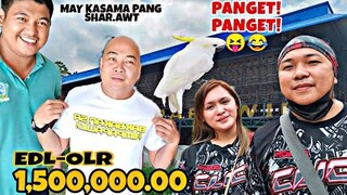 1.5M GUARANTEED PRIZE EDL-OLR | ONE LOFT RACE ANG SINALIHAN NATIN MGA KALAPATIDS