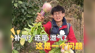 哲学难题：此物补气还是泄气？