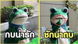 กบน่ารัก ชักน่าหวดซะแล้วว !! #รวมคลิปฮาพากย์ไทย