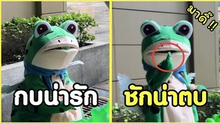 กบน่ารัก ชักน่าหวดซะแล้วว !! #รวมคลิปฮาพากย์ไทย