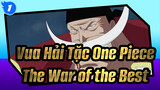 Vua Hải Tặc One Piece|MAD| Trận chiến của những nhân vật đỉnh nhất_1