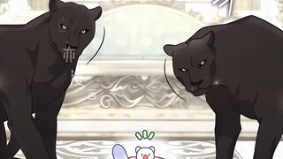 The day when the little snow leopard and the crown prince transformed into beasts, so cute! [Extra C