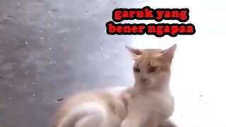 BERSATU KITA GAGAL!