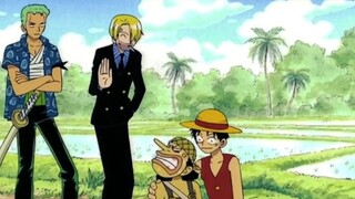 One Piece: Jika suatu hari nanti Topi Jerami dihancurkan, kemungkinan besar salah satu anggota kita 