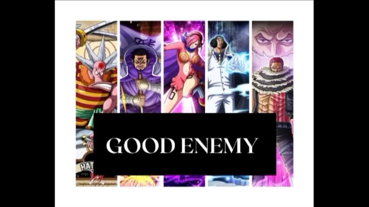 GOOD ENEMY??? One Piece