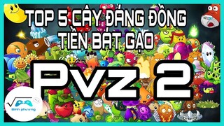 TOP 5 CÂY ĐÁNG ĐỂ BỎ TIỀN RA MUA NHẤT TRONG PVZ 2