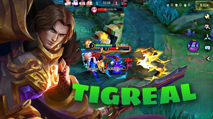 COBA PAKE HERO JADUL TIGREAL DI MOBILE LEGENDS 😱