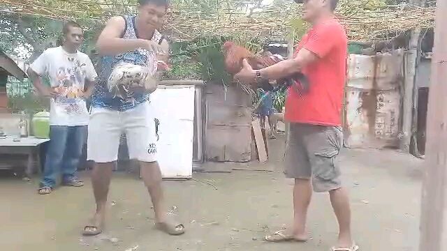 naka Dali ulet mayahin hehehe tupada lang sakalam