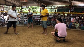 2nd fight. @Calumpit cockpit WIN. CHAMPION. Nov 22 2022 (kasador mismo naka bitawan ko😅)