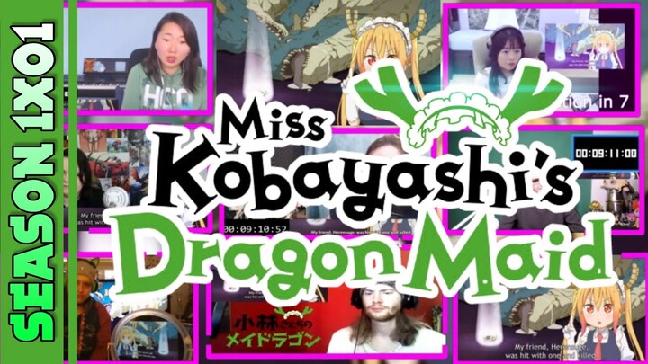 【MAID S1】Miss Kobayashi's Dragon Maid Season 1 Episode 1 REACTION MASHUP - 小林さんちのメイドラゴン 1期 1話 リアクション