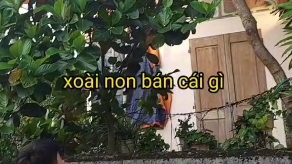 ai mua xoài đê