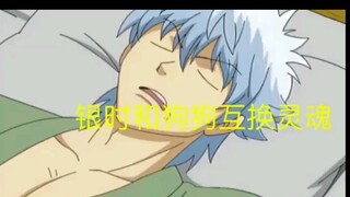 # Gintama When Gin and Dog exchange souls~