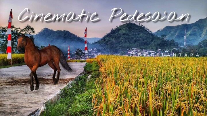 Sudut kampung - Cinematic