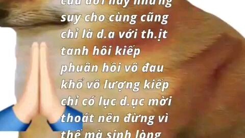 đừng đùa nx