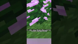 Minecraft, Tapi Block MENGHILANG Setiap 5 Detik